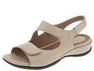 clarks frump